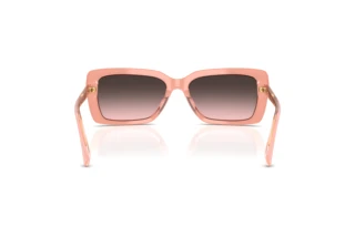 Rear view Ralph RA5342U (629646)