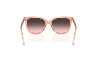Rear view Ralph RA5343U (629646)