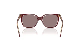 Rear view Ralph RA5343U (62997N)