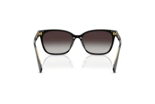 Rear view Ralph RA5348U (62978G)