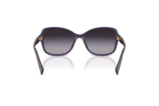 Rear view Ralph RA5351U (63458G)