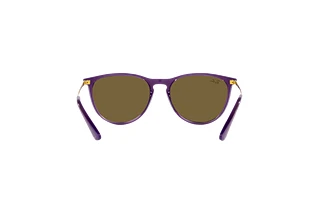 Rear view Ray-Ban Kids JUNIOR ERIKA (RJ9060S - 713173)