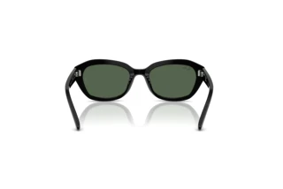 Rear view Ray-Ban Kids RJ9081S (100/71)