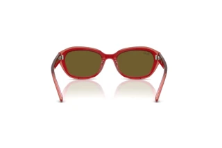 Rear view Ray-Ban Kids RJ9081S (715473)