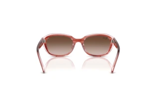 Rear view Ray-Ban Kids RJ9081S (717313)