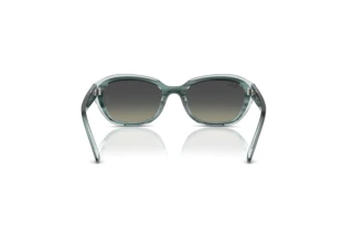 Rear view Ray-Ban Kids RJ9081S (717511)