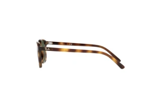 Side view Ray-Ban Kids JUNIOR LEONARD (RJ9093S - 152/71)