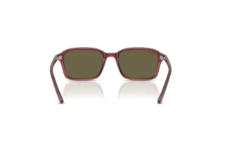 Rear view Ray-Ban Kids RJ9131S (7197/3)