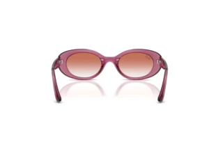 Rear view Ray-Ban Kids RJ9141S (7217V0)