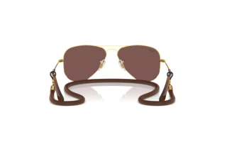 Rear view Ray-Ban Kids JUNIOR AVIATOR (RJ9506S - 223/6G)