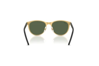 Rear view Ray-Ban Kids RJ9552S (294/71)