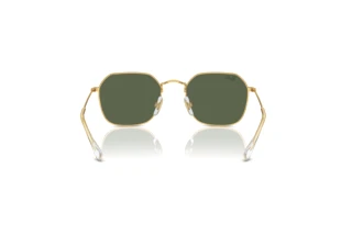 Rear view Ray-Ban Kids RJ9594S (223/71)