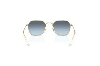 Rear view Ray-Ban Kids RJ9594S (223/V1)