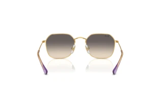 Rear view Ray-Ban Kids RJ9594S (292/11)