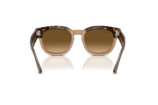 Rear view Ray-Ban MEGA HAWKEYE (RB0298S - 1292M2)