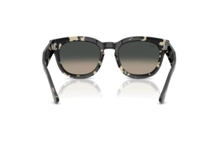 Rear view Ray-Ban MEGA HAWKEYE (RB0298S - 133371)