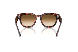 Rear view Ray-Ban MEGA HAWKEYE (RB0298S - 133451)