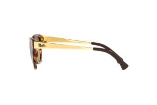 Side view Ray-Ban RB0707SM (954/G4)