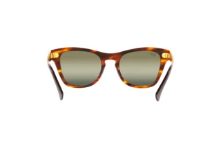 Rear view Ray-Ban RB0707SM (954/G4)