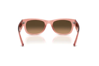 Rear view Ray-Ban MEGA WAYFARER II (RB0832S - 684843)