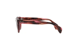 Side view Ray-Ban RB0880S (6639AF)