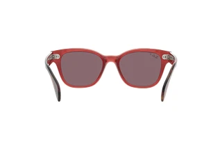 Rear view Ray-Ban RB0880S (6639AF)