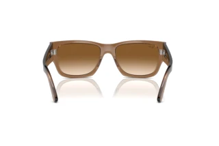 Rear view Ray-Ban CARLOS (RB0947S - 664051)