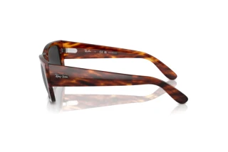 Side view Ray-Ban CARLOS (RB0947S - 954/48)
