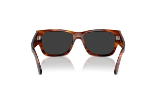 Rear view Ray-Ban CARLOS (RB0947S - 954/48)