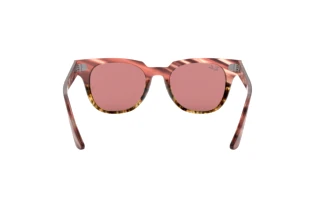 Rear view Ray-Ban METEOR (RB2168 - 1253U0)