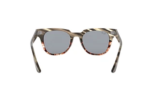 Rear view Ray-Ban METEOR (RB2168 - 1254Y5)