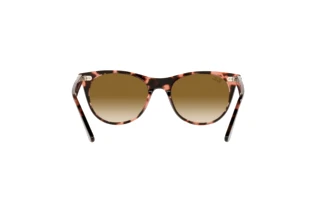Rear view Ray-Ban WAYFARER II (RB2185 - 133451)