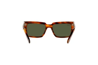 Rear view Ray-Ban INVERNESS (RB2191 - 954/31)