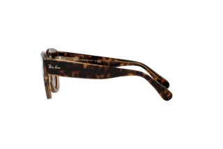 Side view Ray-Ban ROUNDABOUT (RB2192 - 1292B1)
