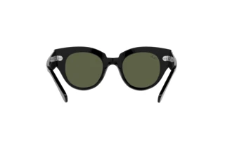 Rear view Ray-Ban ROUNDABOUT (RB2192 - 901/31)