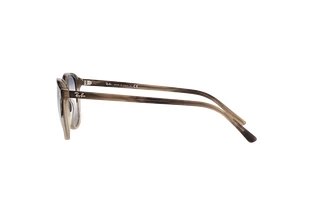 Side view Ray-Ban LEONARD (RB2193 - 1327GF)
