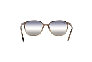 Rear view Ray-Ban LEONARD (RB2193 - 1327GF)