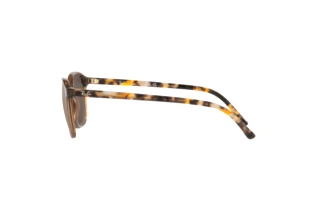 Side view Ray-Ban LEONARD (RB2193 - 663693)