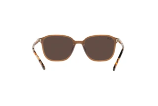 Rear view Ray-Ban LEONARD (RB2193 - 663693)