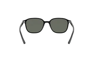Rear view Ray-Ban LEONARD (RB2193 - 901/58)