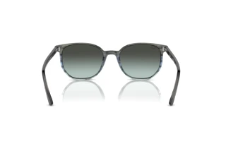 Rear view Ray-Ban ELLIOT (RB2197 - 1391GK)