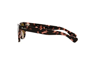 Side view Ray-Ban LARAMIE (RB2201 - 133451)