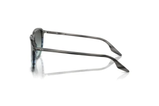 Side view Ray-Ban RB2203 (1391GK)