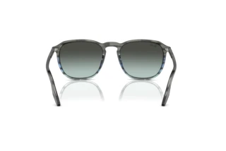 Rear view Ray-Ban RB2203 (1391GK)