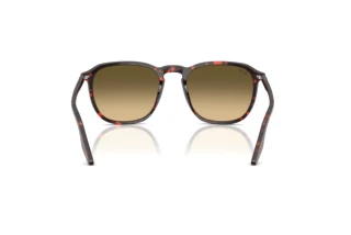 Rear view Ray-Ban RB2203 (14290A)