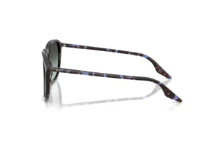 Side view Ray-Ban RB2203 (1430GK)