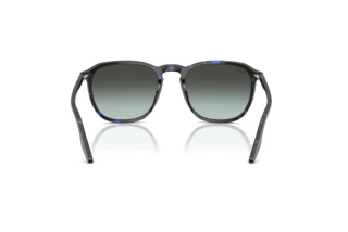 Rear view Ray-Ban RB2203 (1430GK)