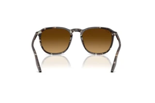 Rear view Ray-Ban RB2203 (143185)