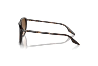 Side view Ray-Ban RB2203 (902/51)