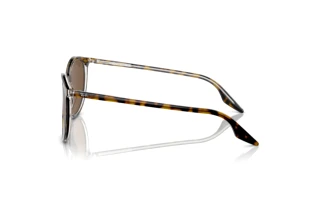 Side view Ray-Ban RB2204 (139357)